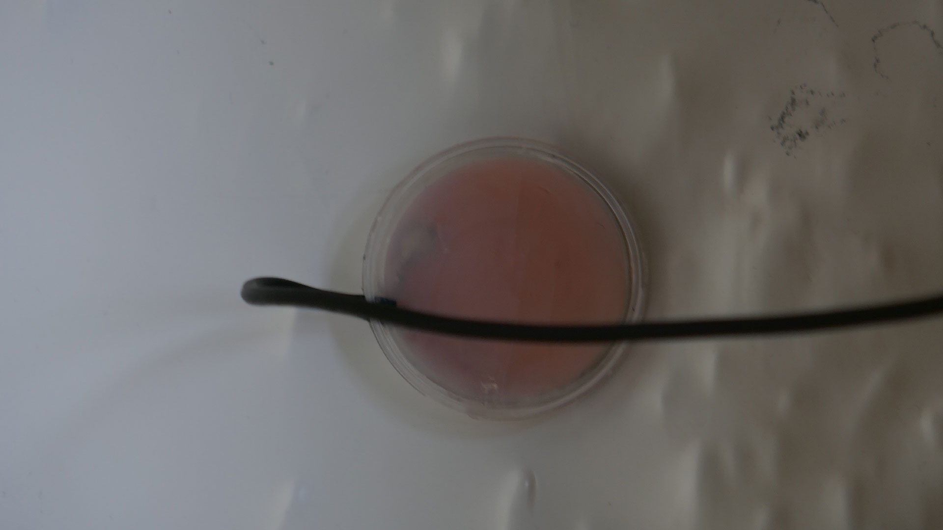 2024-02-09 Regen auf einer kleinen Tom (Audio)